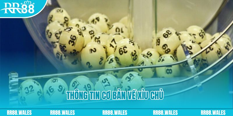 king 88 sòng bạc LINK MỚI