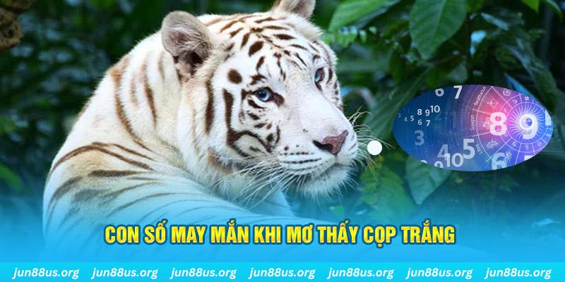 kucasino Trực tuyến
